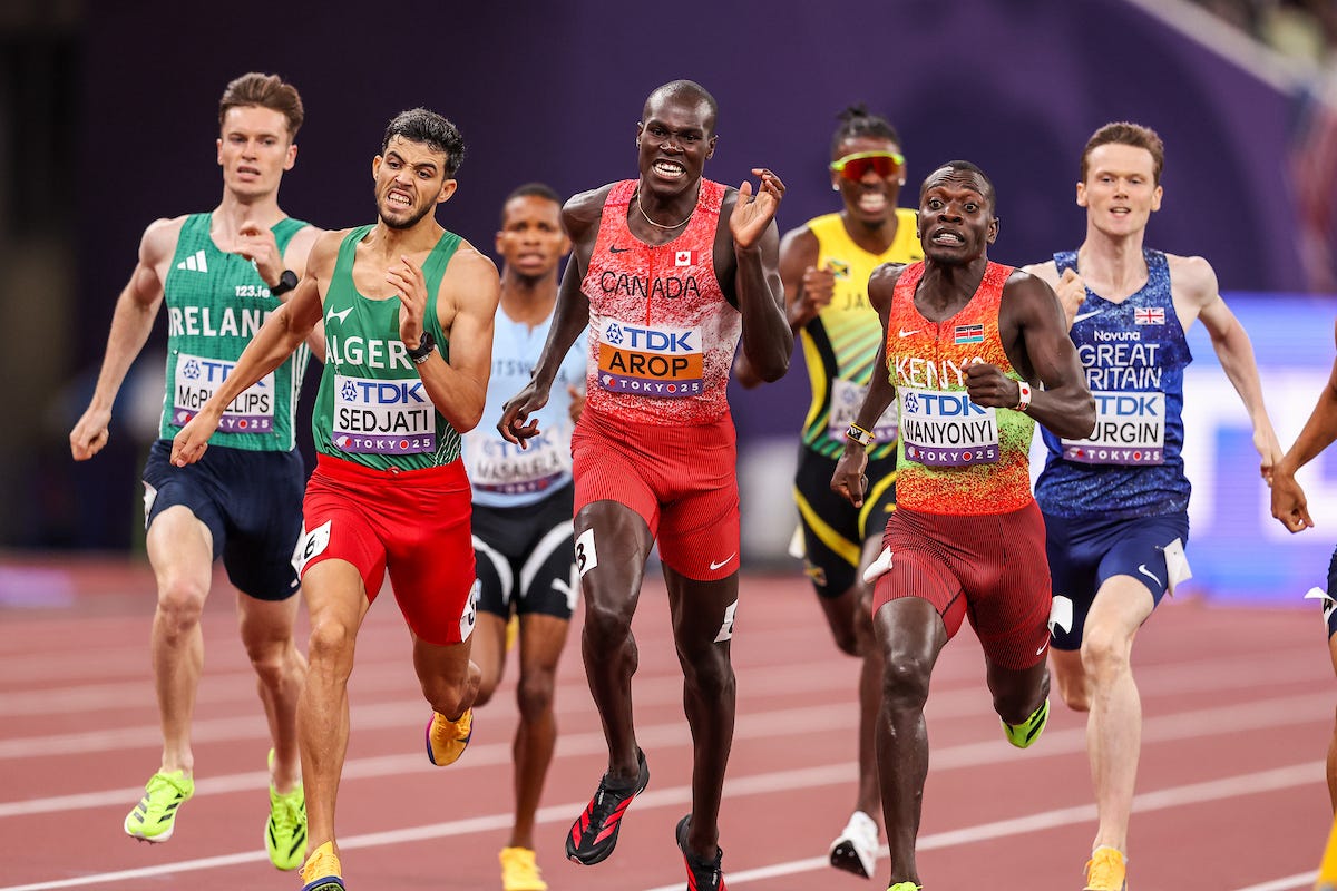 Fujii Shelly - Người Mẫu và Nhà Hoạt Động Xã Hội Gây Ấn Tượng Trong Cộng Đồng Việt Nam