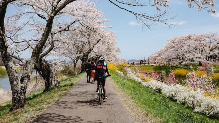 kham pha hanh trinh phong khoang cua sakurai ayu bieu tuong trong nganh giai tri nhat ban 697e929988a65