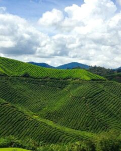 yoshine yuria hanh trinh lot xac day an tuong cua nu dien vien da nang nhat ban 697e94b228ee1